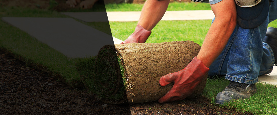 Paoli Landscapers